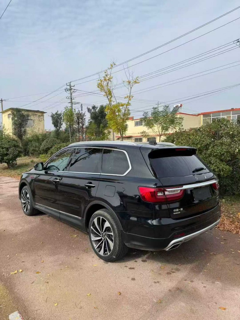 烟台20年红旗HS75