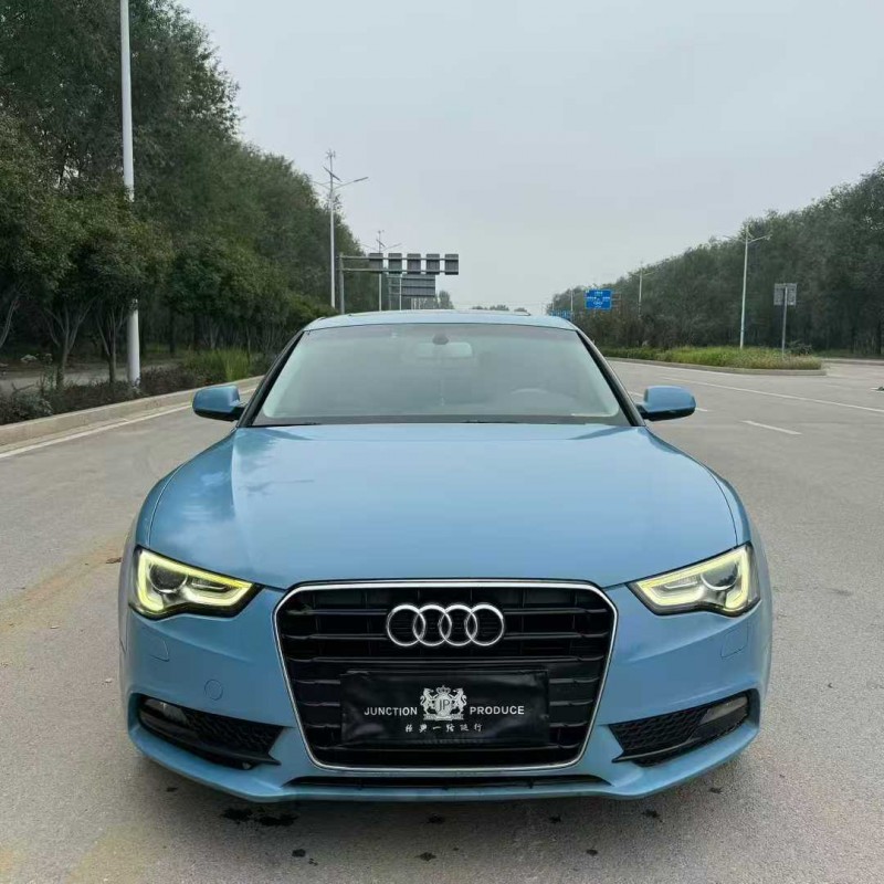 潍坊15年奥迪A51