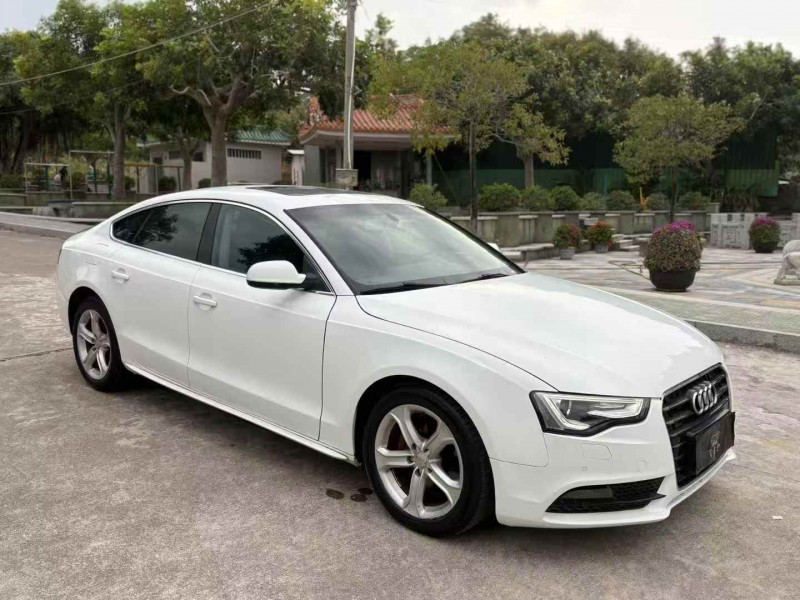 揭阳16年奥迪A52