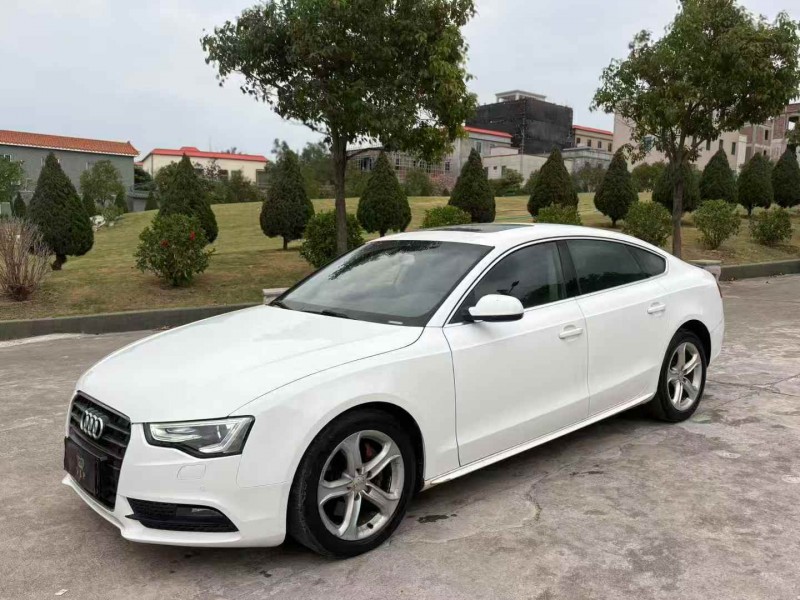 揭阳16年奥迪A53