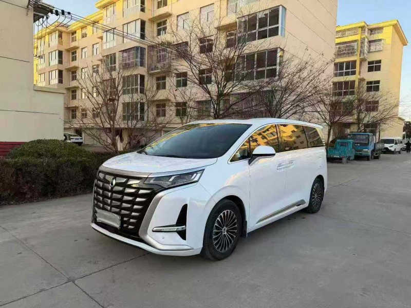 徐州23年腾势D92