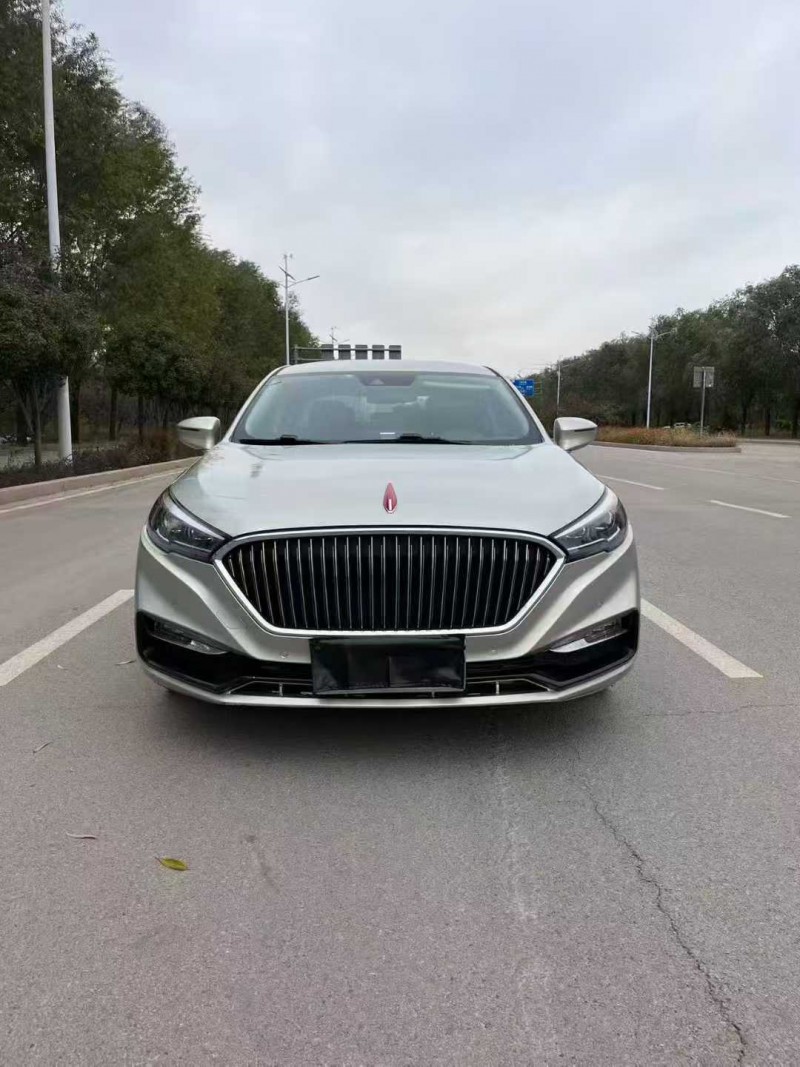 东营18年红旗H51