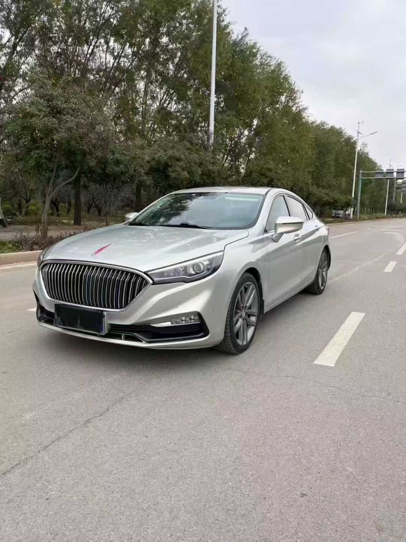 东营18年红旗H53