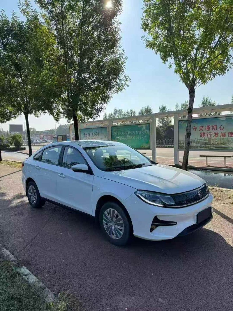 枣庄24年东风风行3