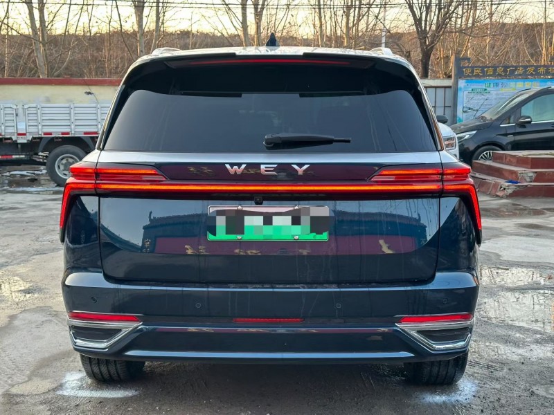 淄博24年长城汽车WEY9