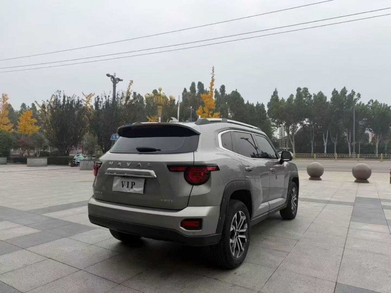 枣庄24年哈弗大狗9