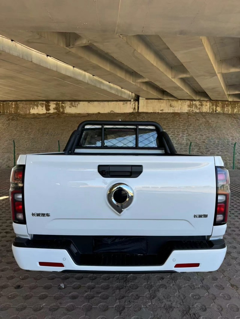 松原24年长城汽车炮 皮卡9