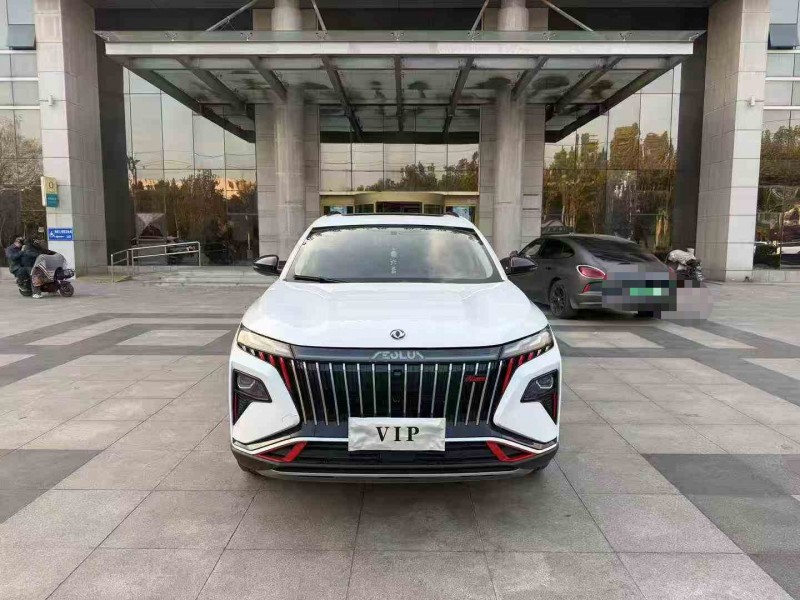 枣庄24年东风风神1