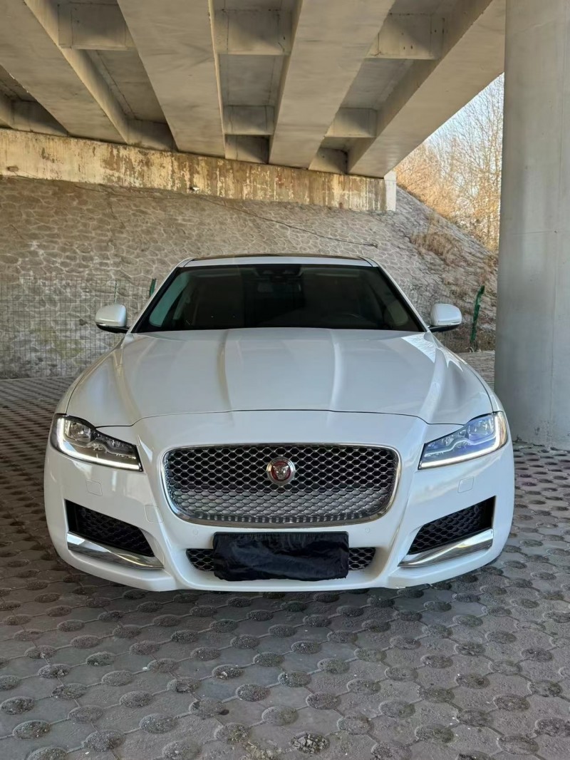 松原19年捷豹XFL1