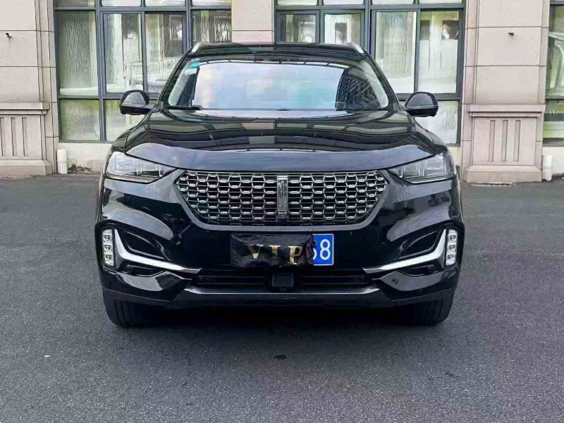 南平21年长城汽车魏牌1