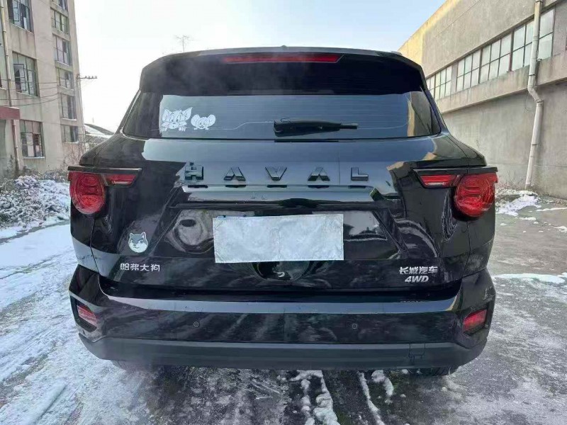 枣庄24年哈弗大狗9