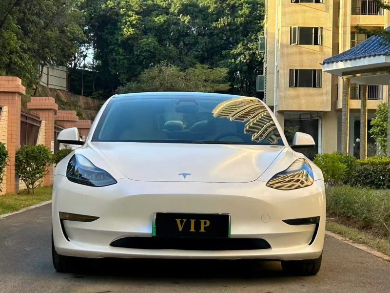 东莞21年特斯拉MODEL 31