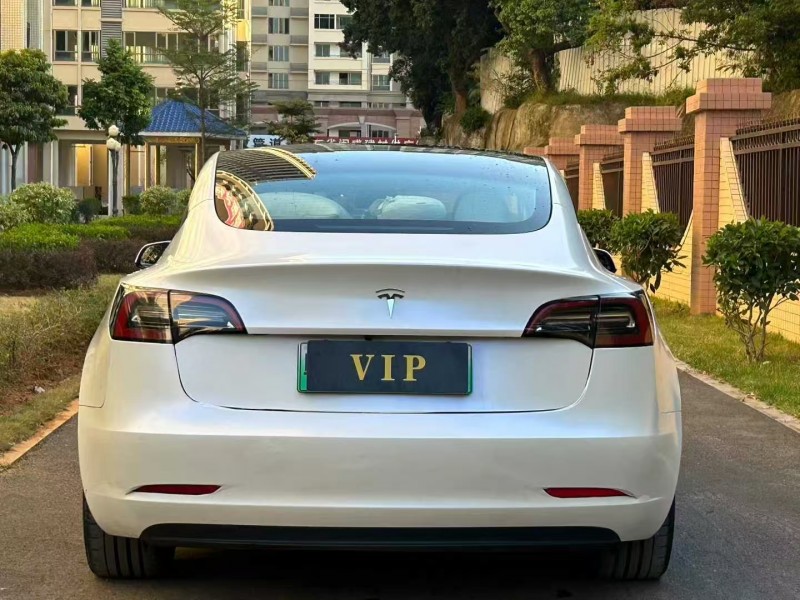 东莞21年特斯拉MODEL 39