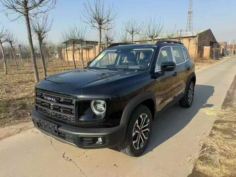 天津25年哈弗大狗2