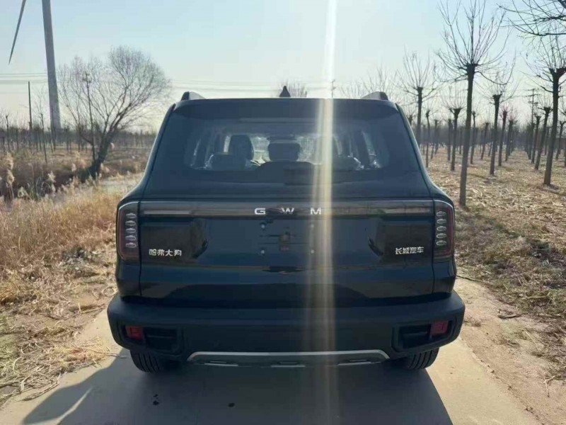 天津25年哈弗大狗8