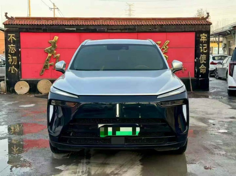 淄博24年长城汽车魏牌1