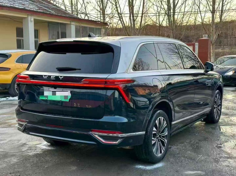 淄博24年长城汽车魏牌6