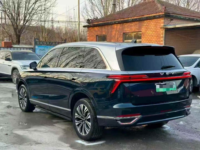 淄博24年长城汽车魏牌7