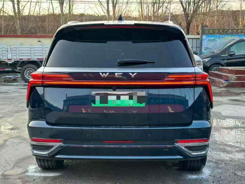 淄博24年长城汽车魏牌8