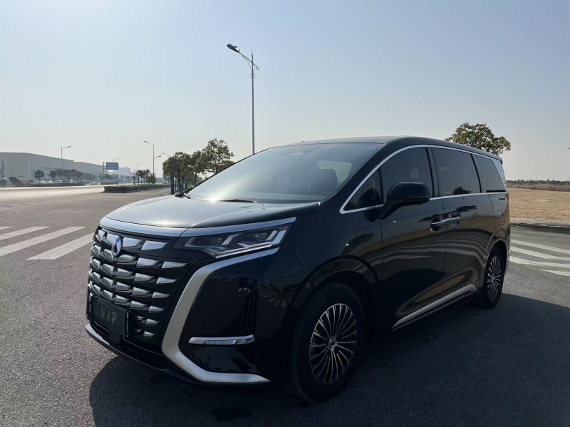 盐城24年腾势D93