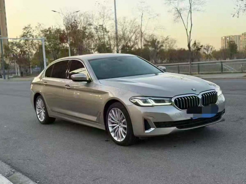 荆州20年宝马5系2