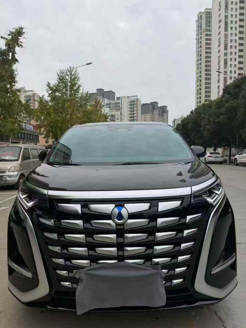 襄阳23年腾势D91