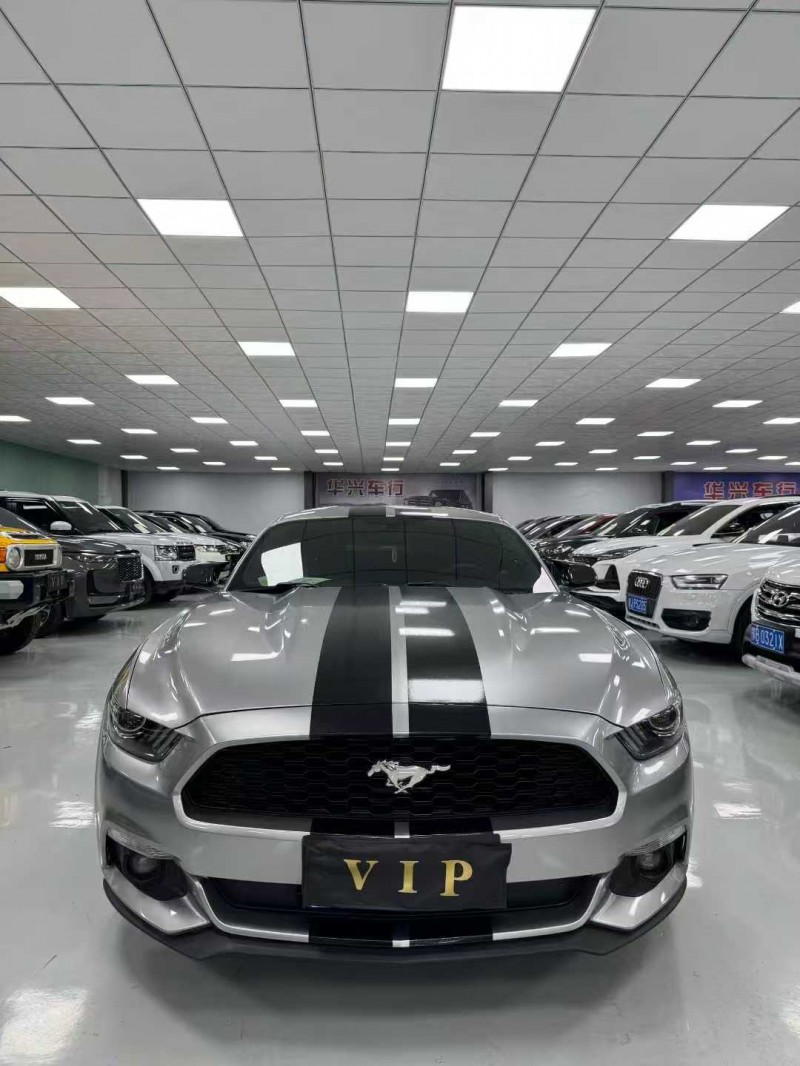 廊坊18年福特野马1