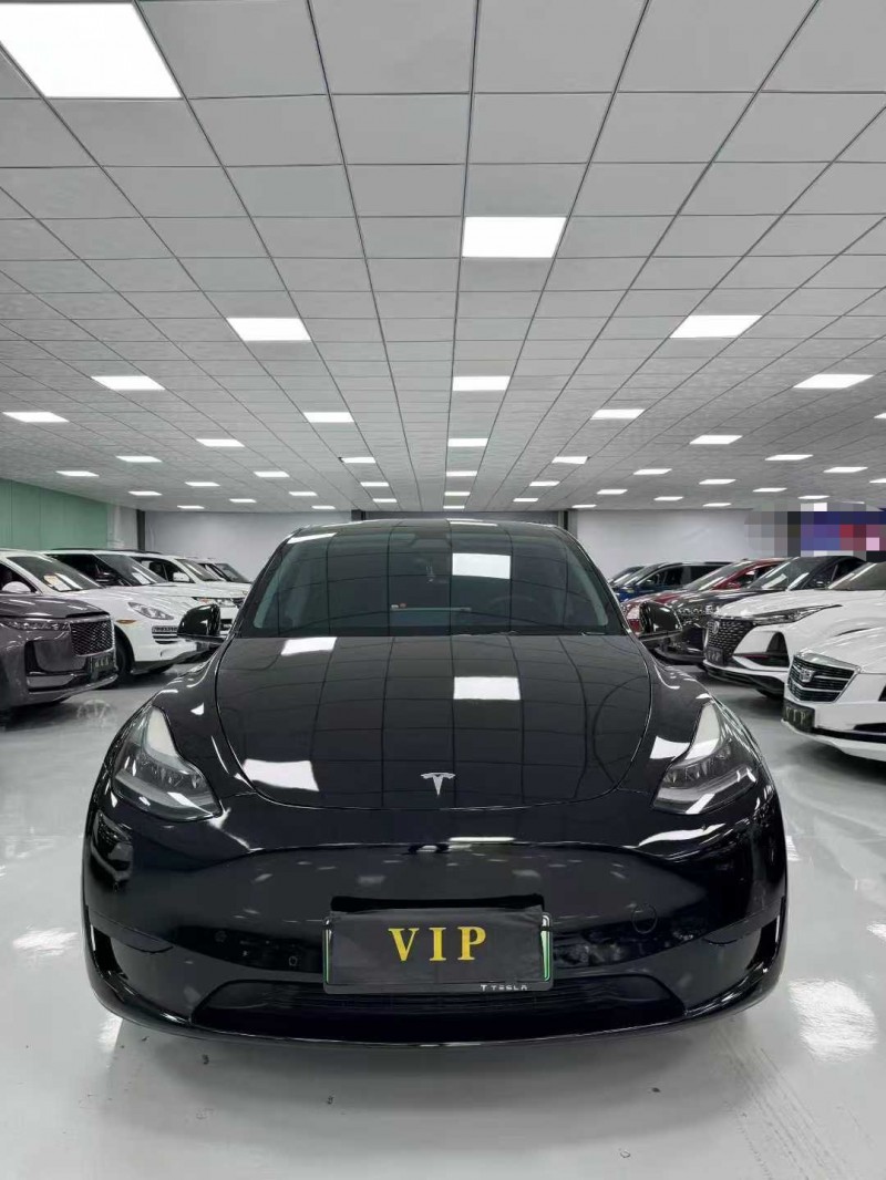 廊坊22年特斯拉MODEL Y1