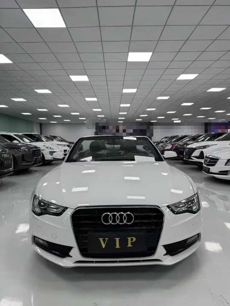 廊坊15年奥迪A51