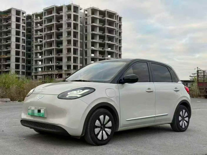 广州24年五菱汽车缤果2