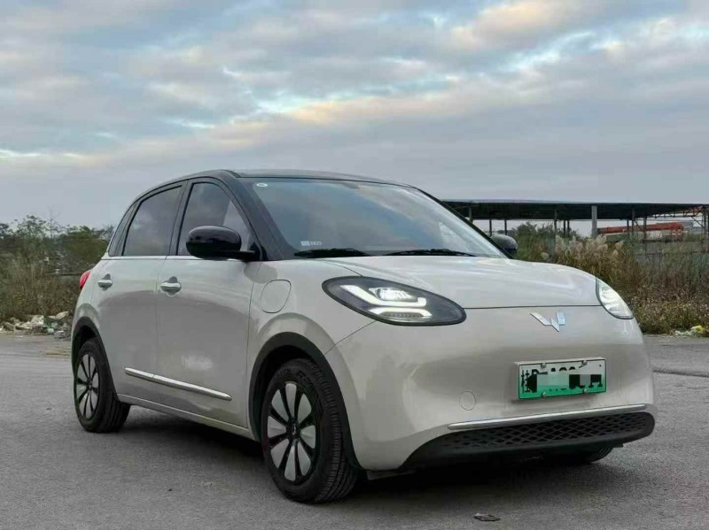 广州24年五菱汽车缤果3