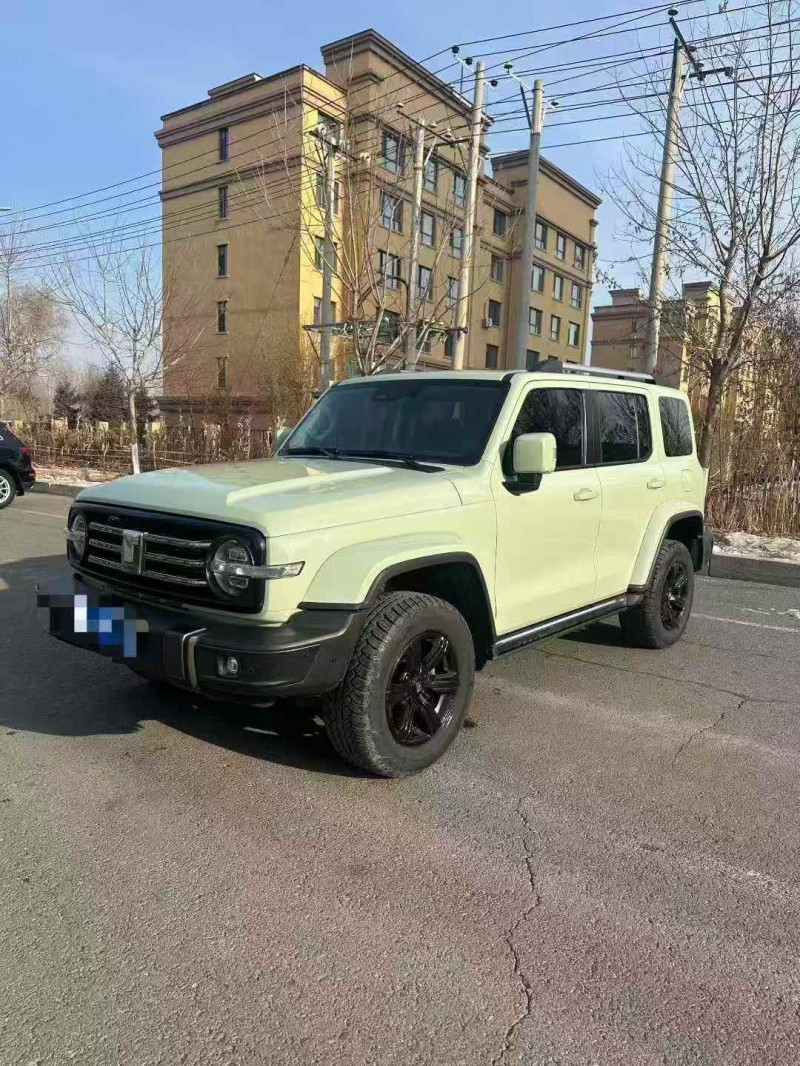 烟台22年长城汽车坦克2