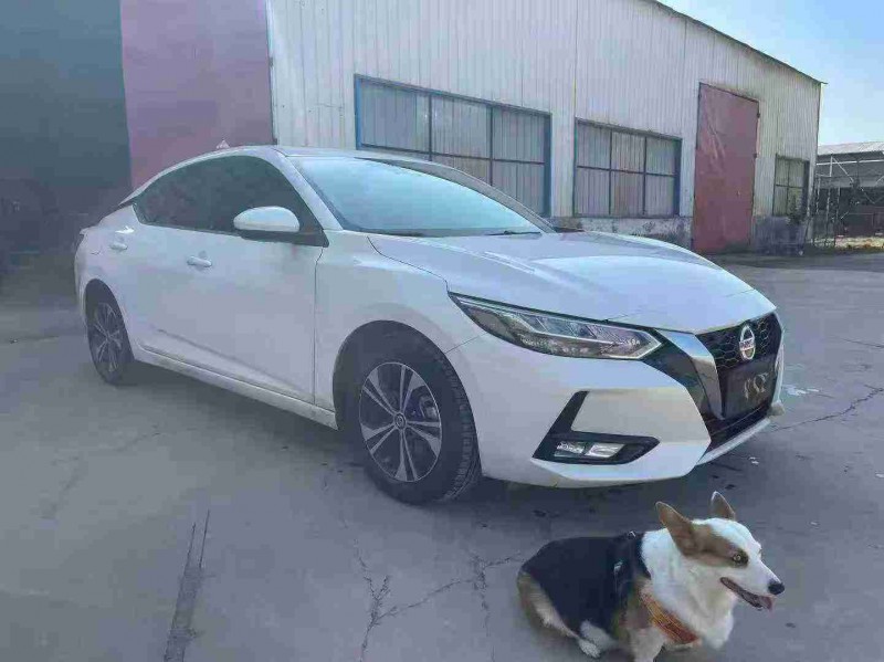 焦作23年日产轩逸3