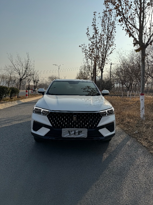 邯郸21年奔腾T771