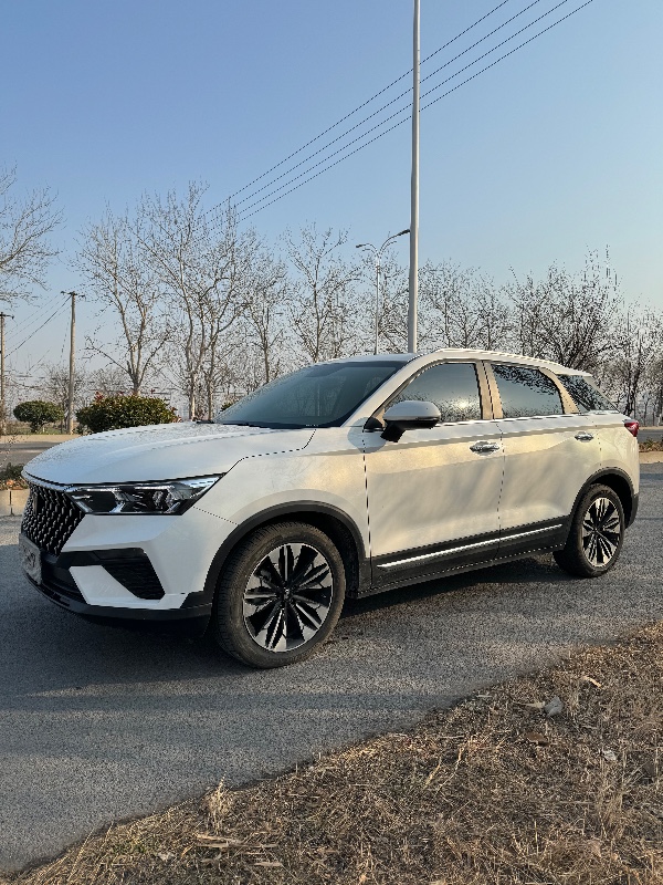 邯郸21年奔腾T772