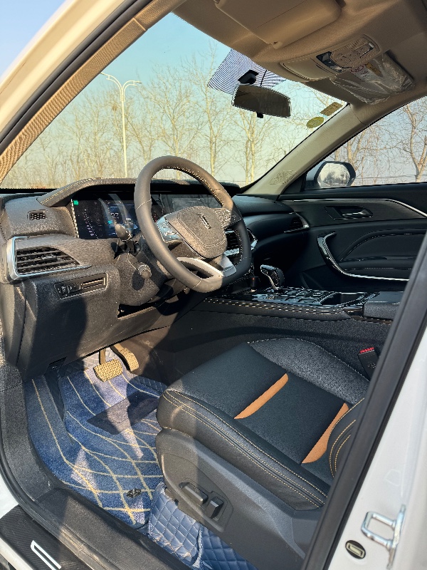 邯郸21年奔腾T773