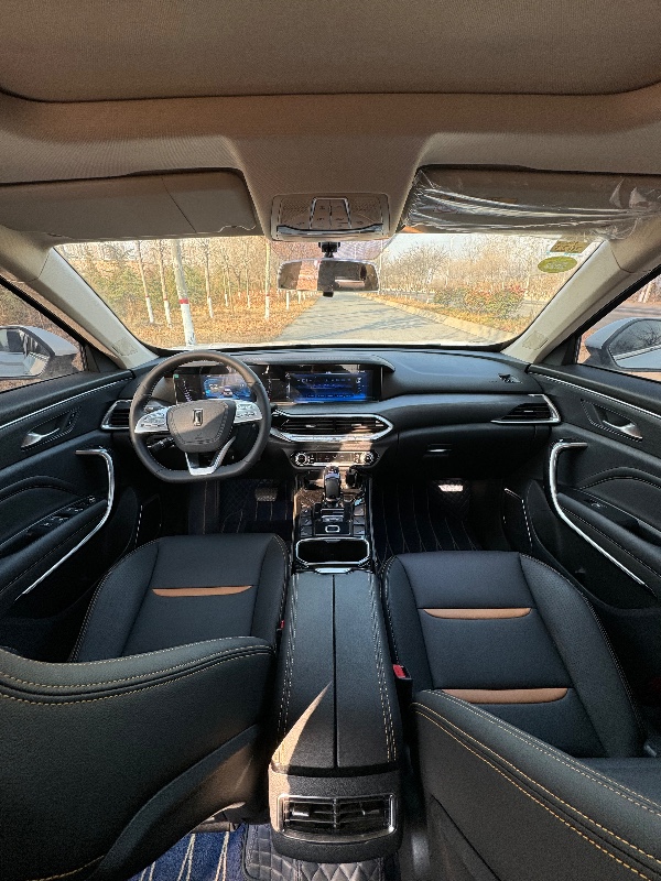 邯郸21年奔腾T774