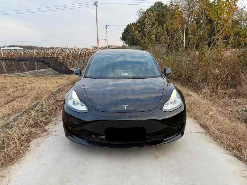 温州23年特斯拉MODEL 31