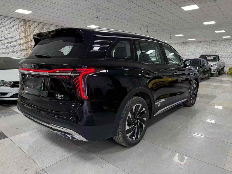 邯郸25年红旗HS78