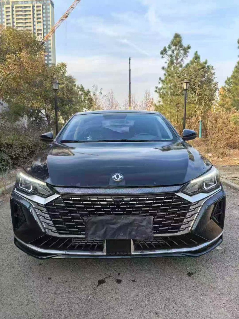 鄂州24年东风奕炫1