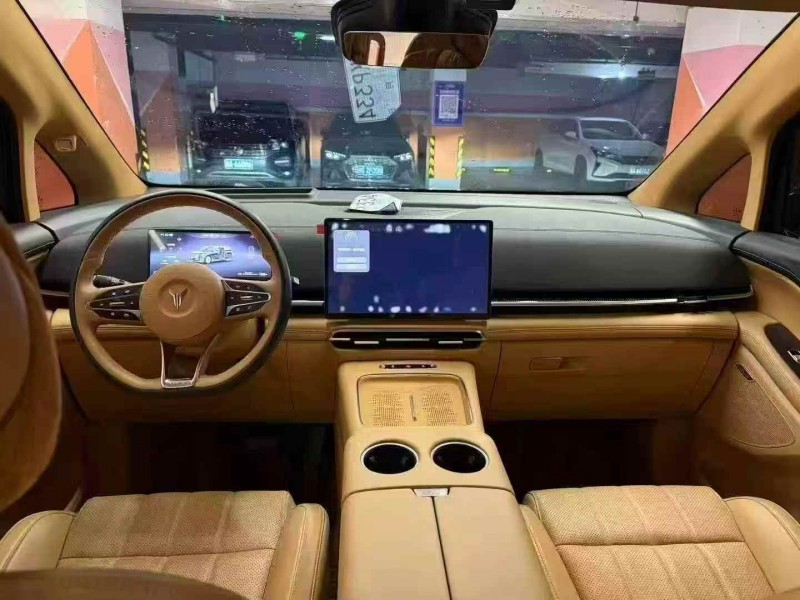 衡阳25年岚图汽车梦想家5