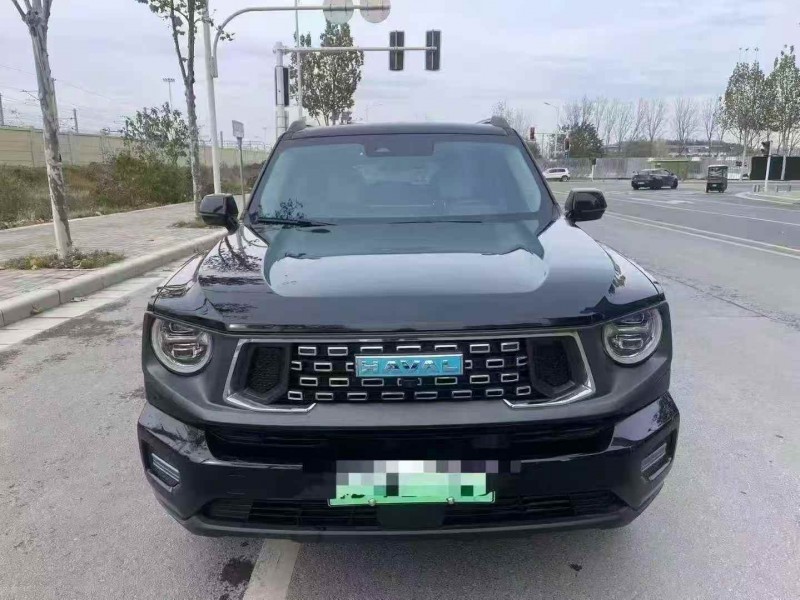 平顶山24年哈弗大狗1