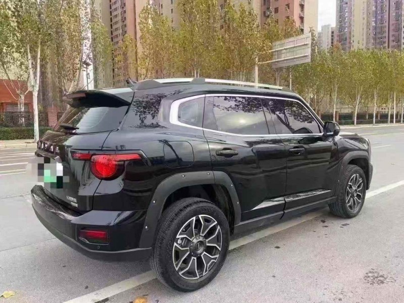 平顶山24年哈弗大狗9