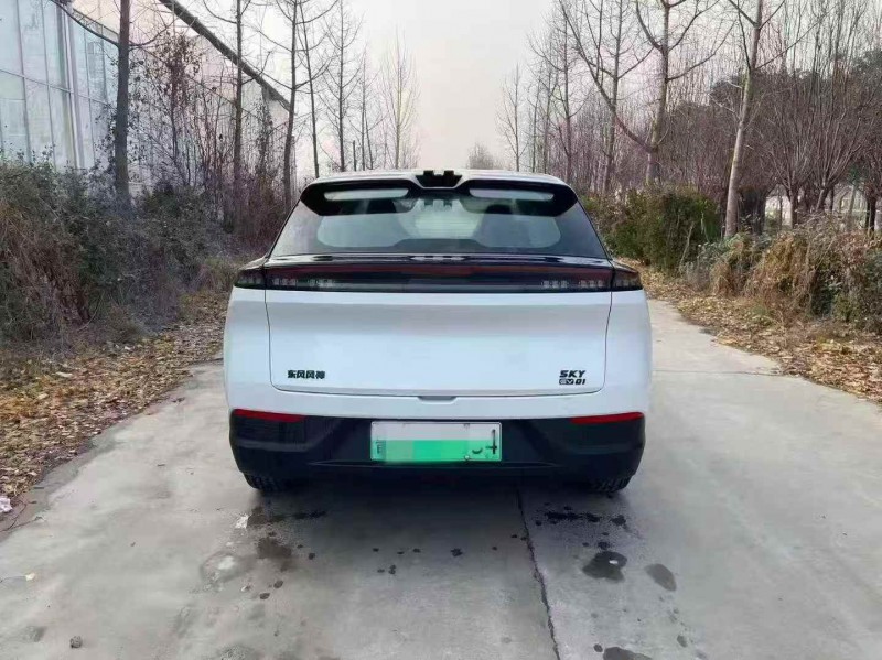 枣庄25年东风风神9