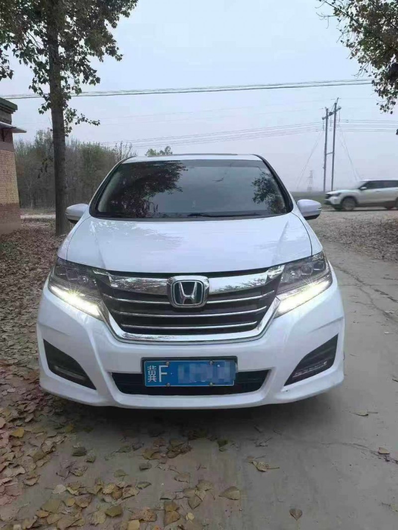 保定17年本田艾力绅1