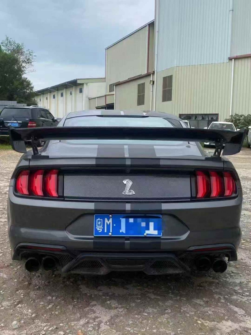 广州19年福特野马9