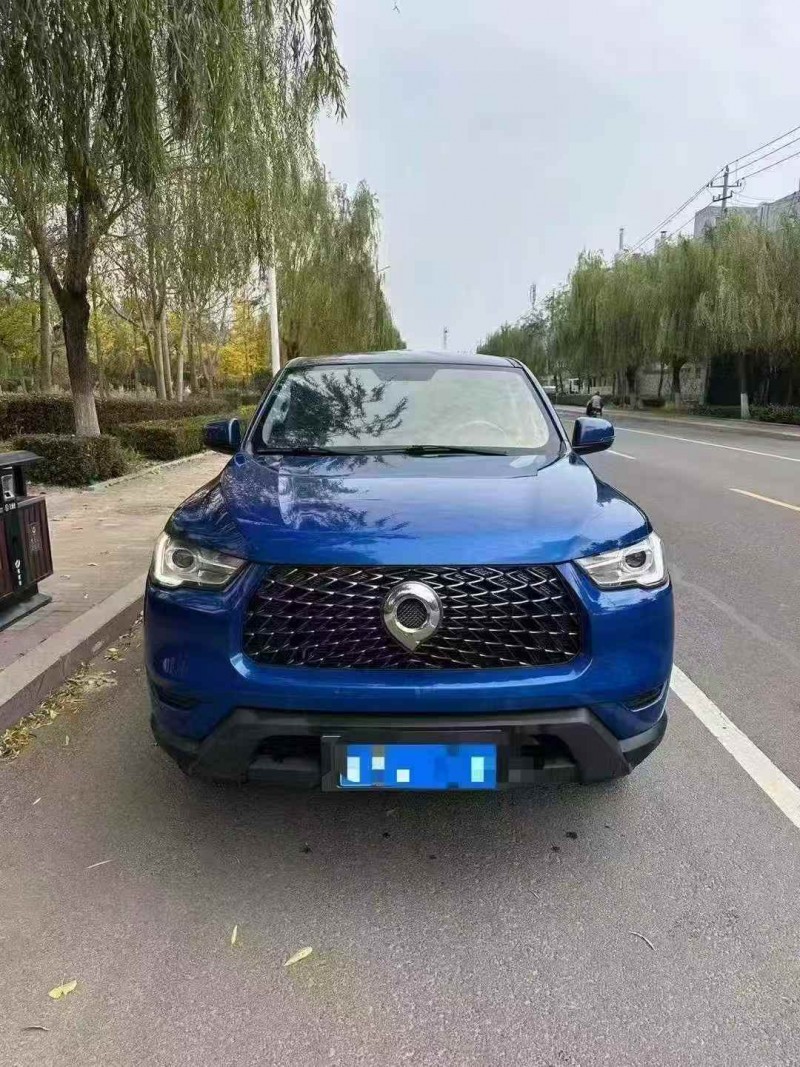 枣庄22年长城汽车炮 皮卡1