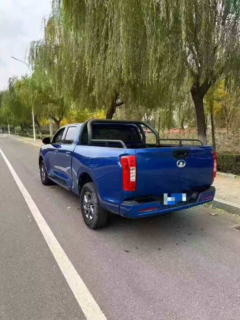 枣庄22年长城汽车炮 皮卡6