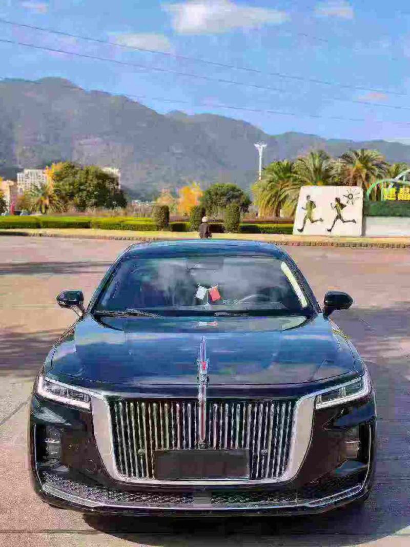 湖州23年红旗H91