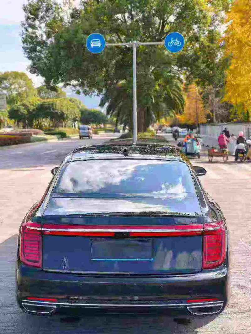 湖州23年红旗H99